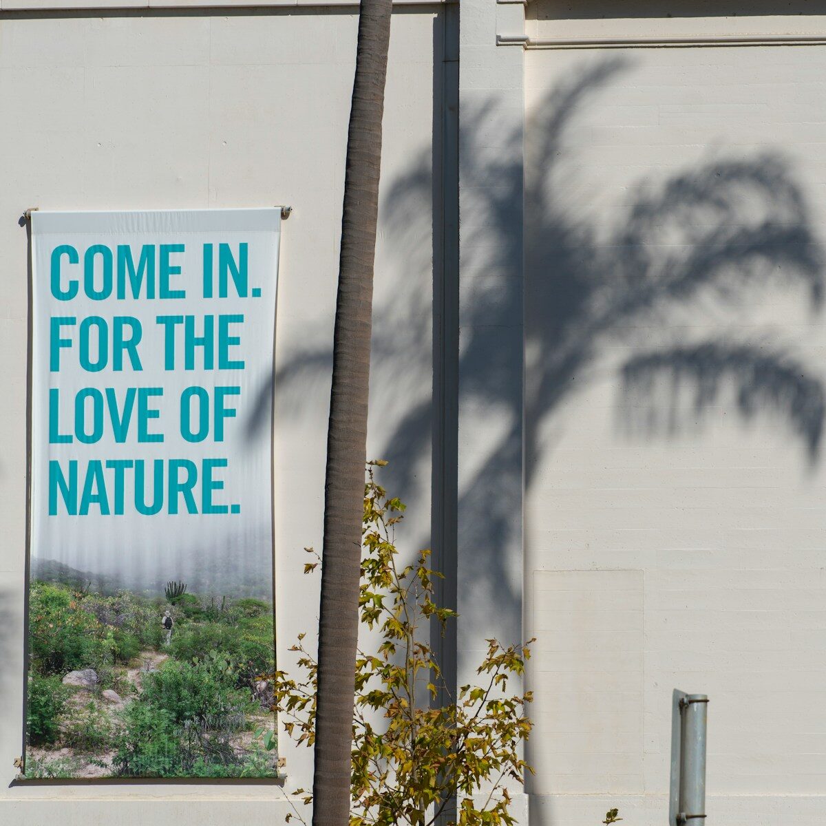 digital blueprinting